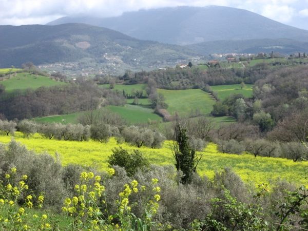 Panorama
